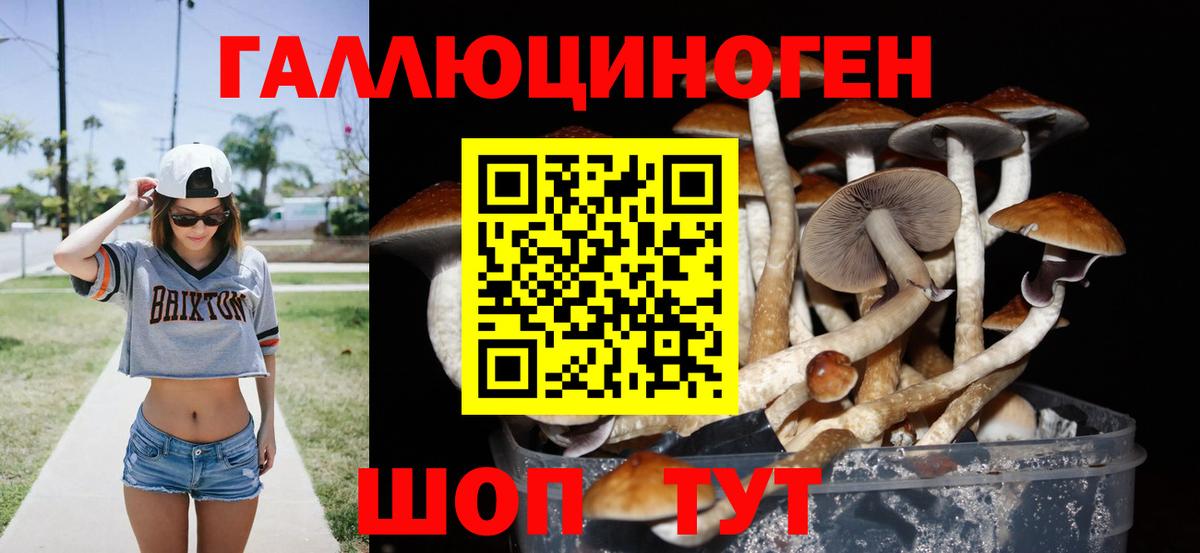 Псилоцибиновые грибы мухоморы  Вход с VPN  Гуково 